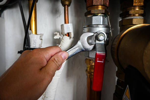 Best Affordable Plumbing Services  in Janesville, IA
